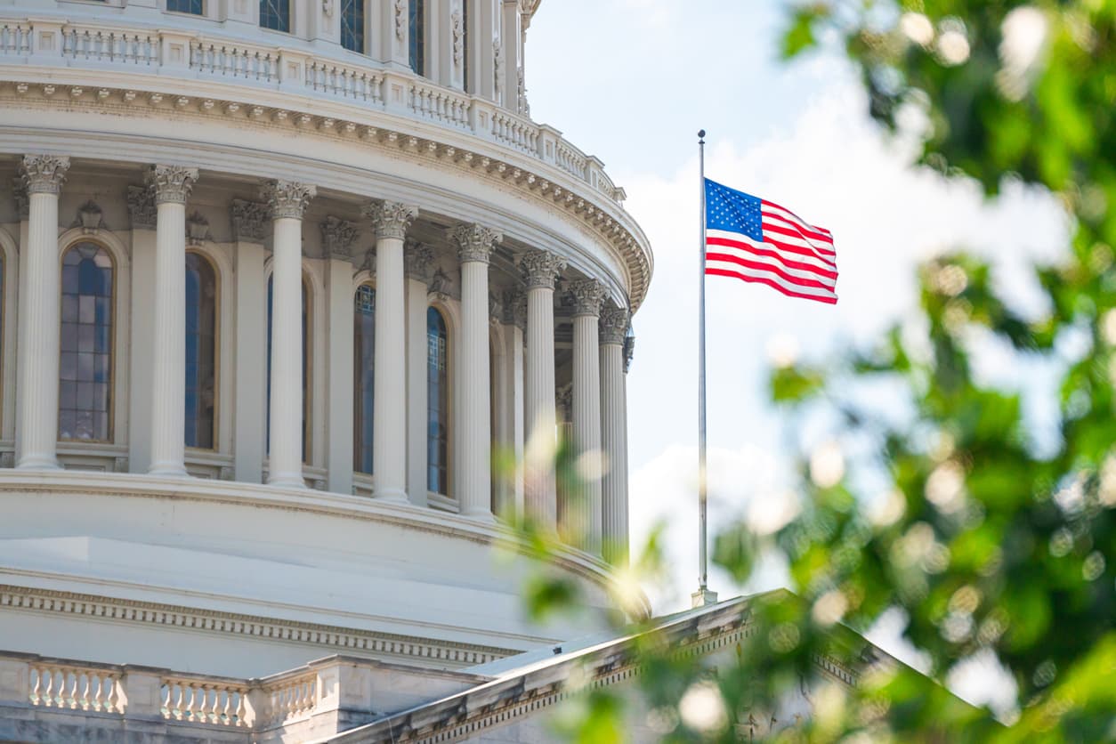 Close-up of the columned U.S. Capitol dome with an American flag waving on a flagpole, framed by green leaves in the foreground
